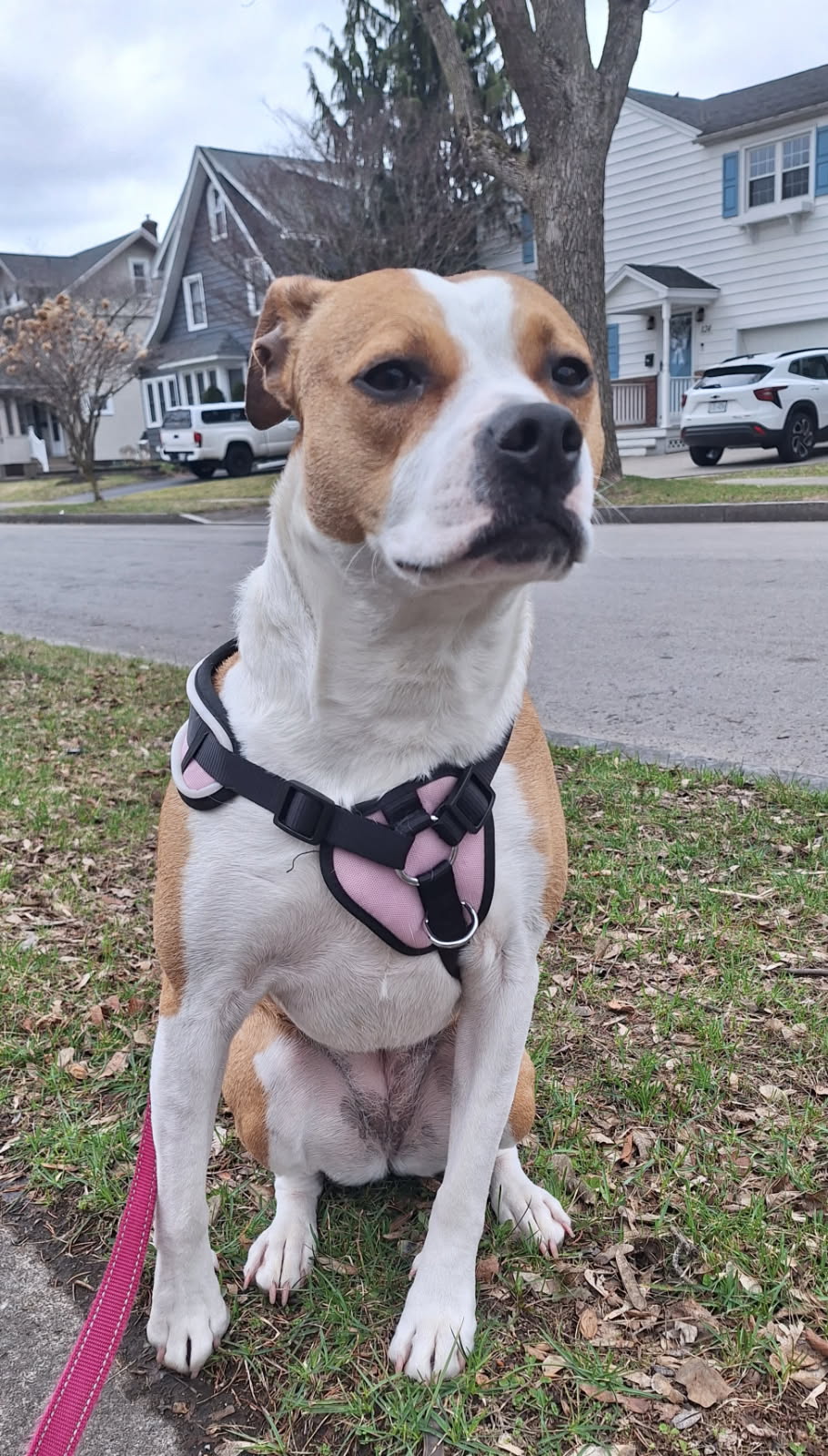 Park visits