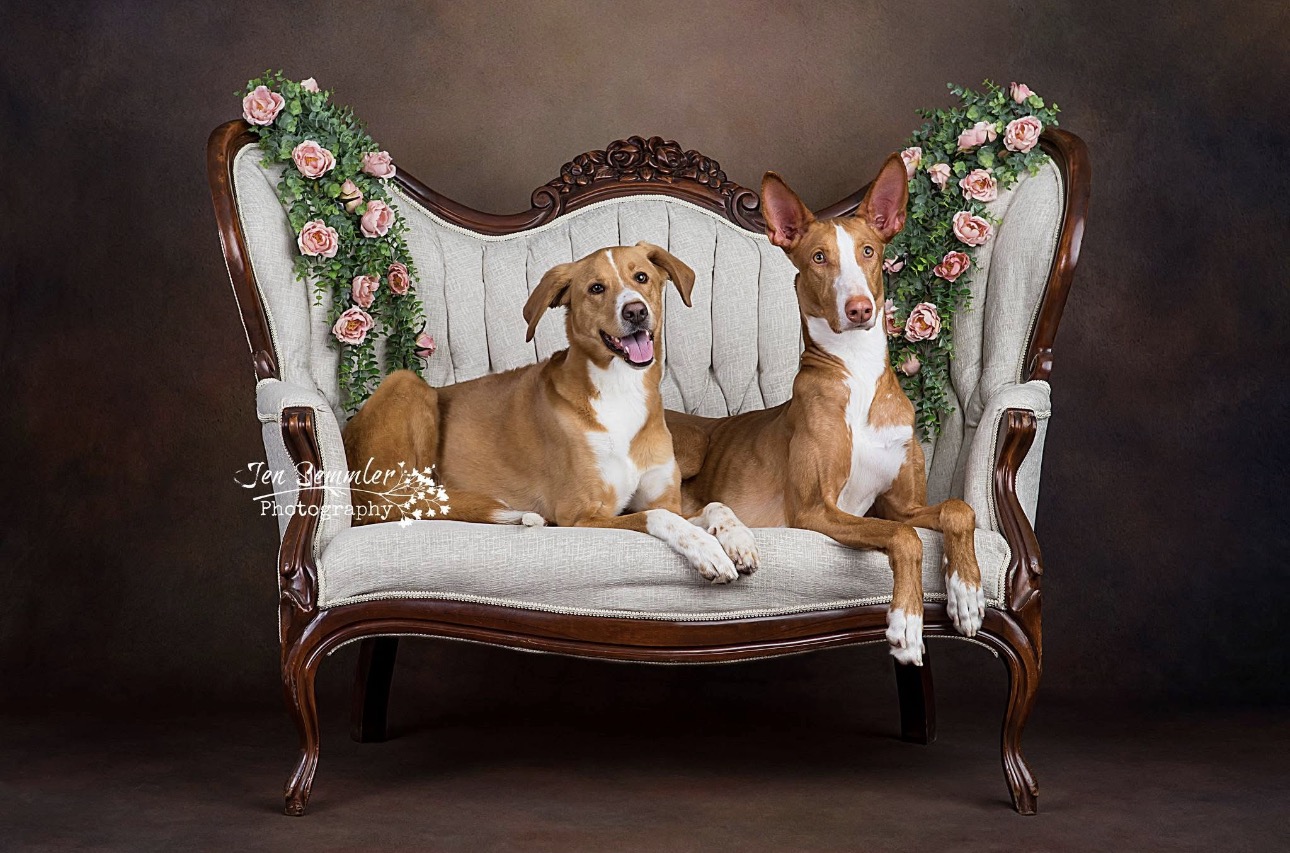 Jen Semmler Photography
