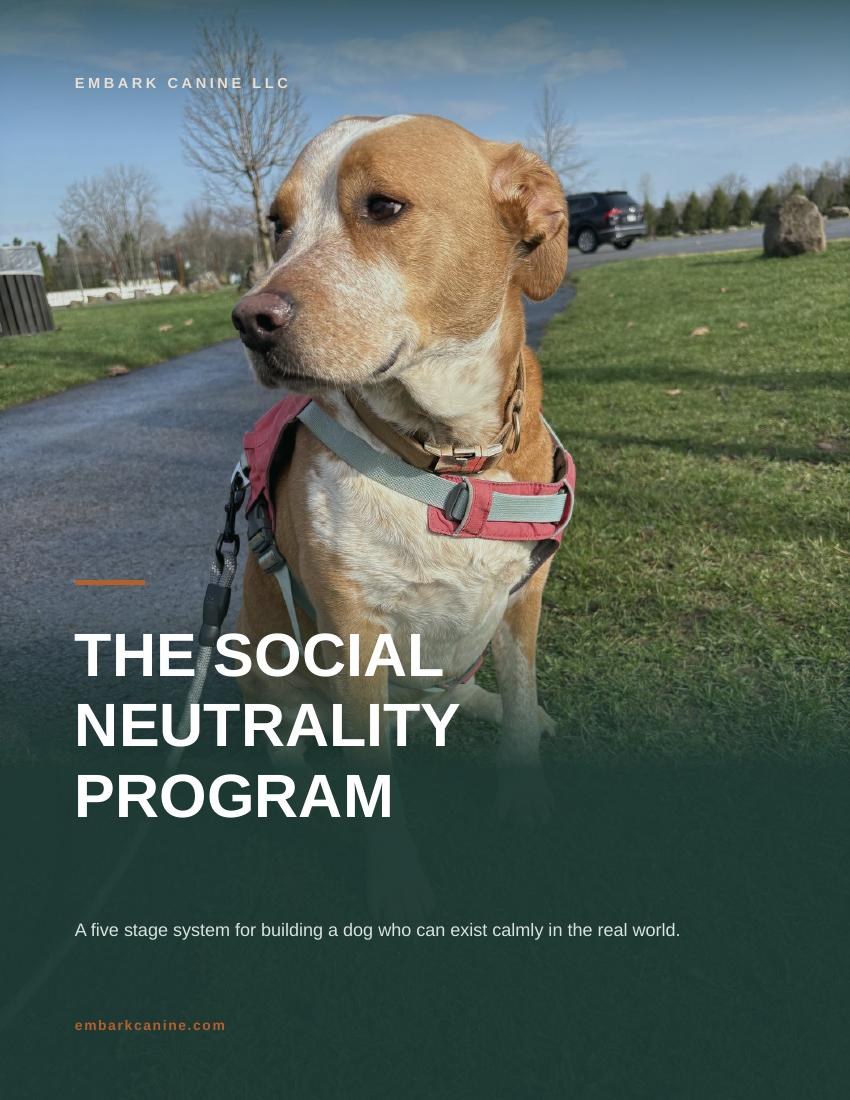The Social Neutrality Program workbook cover